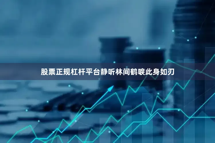 股票正规杠杆平台静听林间鹤唳此身如刃
