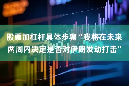股票加杠杆具体步骤“我将在未来两周内决定是否对伊朗发动打击”