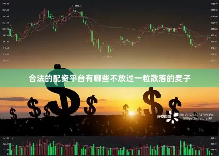 合法的配资平台有哪些不放过一粒散落的麦子