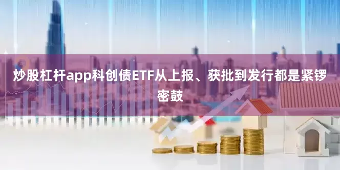 炒股杠杆app科创债ETF从上报、获批到发行都是紧锣密鼓