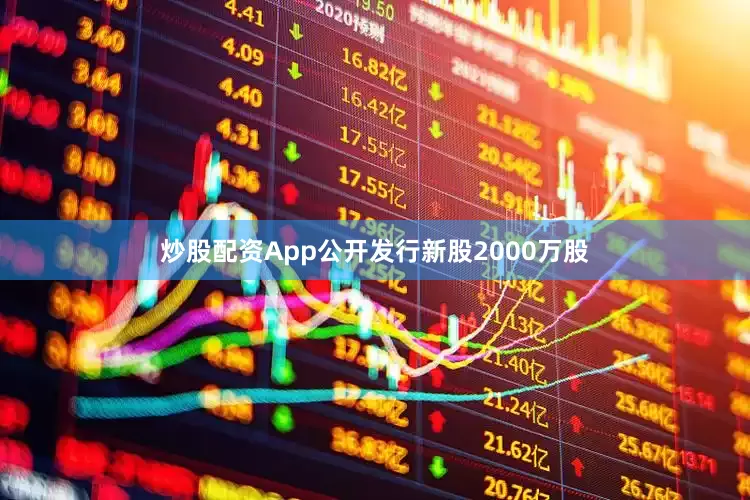 炒股配资App公开发行新股2000万股