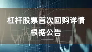 杠杆股票首次回购详情根据公告